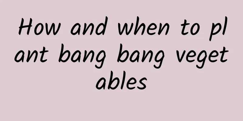 How and when to plant bang bang vegetables