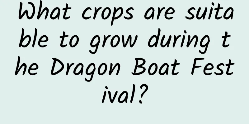What crops are suitable to grow during the Dragon Boat Festival?