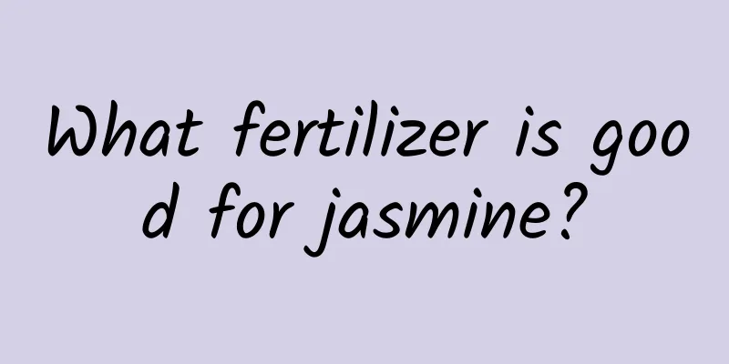 What fertilizer is good for jasmine?