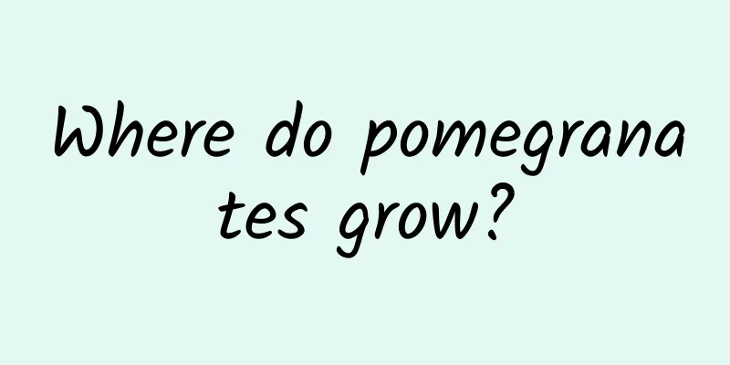 Where do pomegranates grow?
