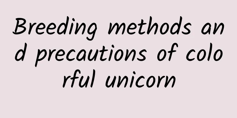 Breeding methods and precautions of colorful unicorn