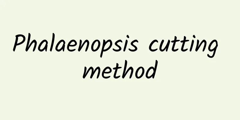 Phalaenopsis cutting method