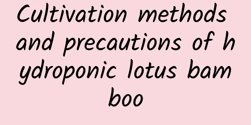 Cultivation methods and precautions of hydroponic lotus bamboo
