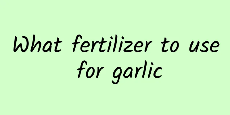 What fertilizer to use for garlic