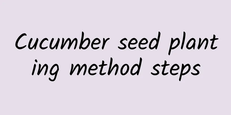 Cucumber seed planting method steps