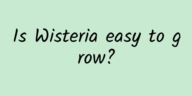 Is Wisteria easy to grow?