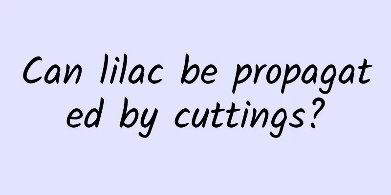 Can lilac be propagated by cuttings?