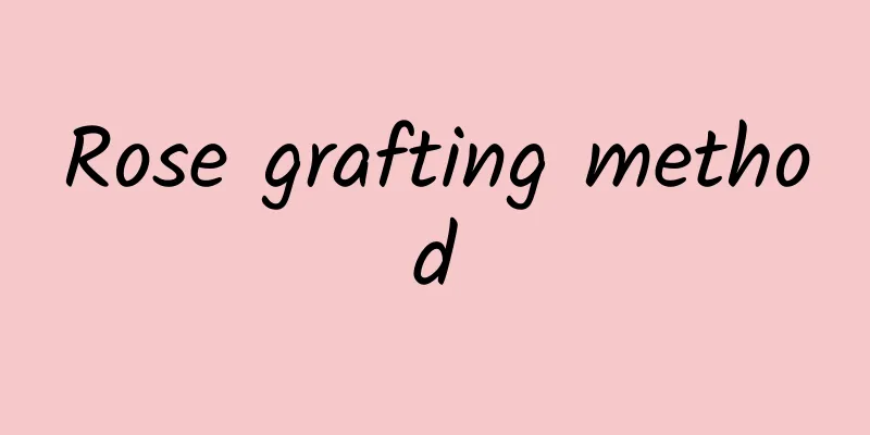 Rose grafting method