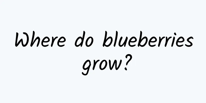 Where do blueberries grow?