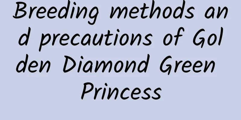 Breeding methods and precautions of Golden Diamond Green Princess