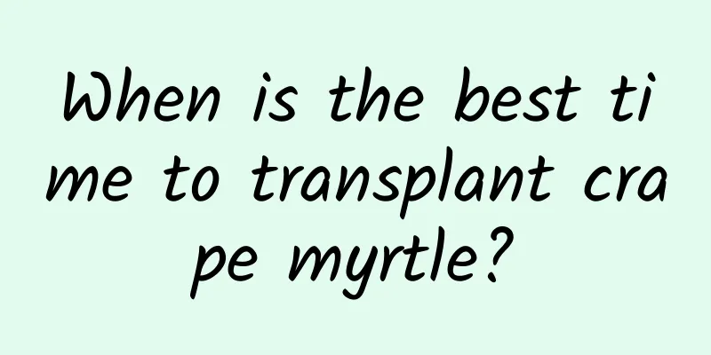 When is the best time to transplant crape myrtle?