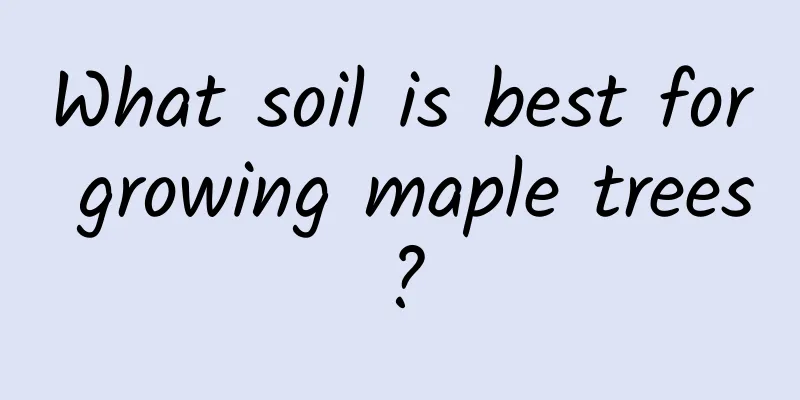 What soil is best for growing maple trees?