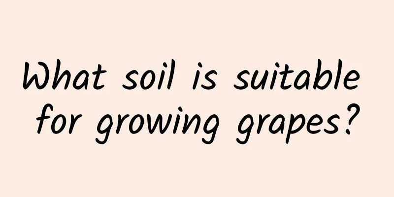 What soil is suitable for growing grapes?