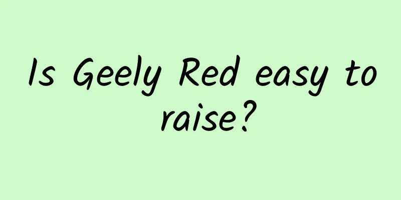 Is Geely Red easy to raise?