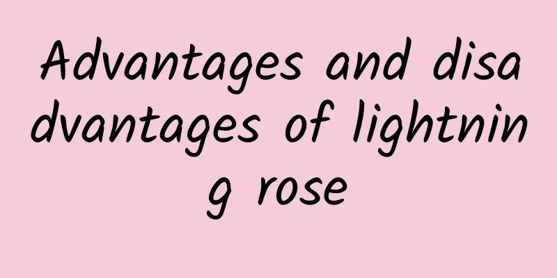 Advantages and disadvantages of lightning rose