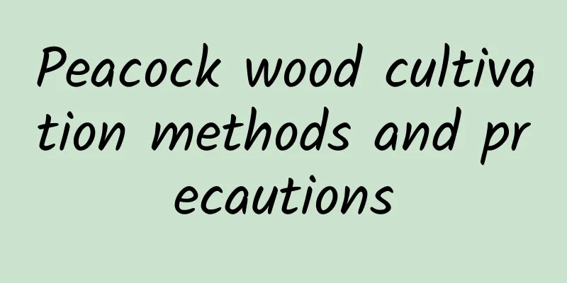 Peacock wood cultivation methods and precautions