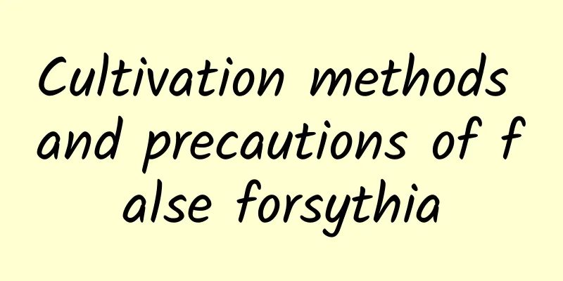 Cultivation methods and precautions of false forsythia