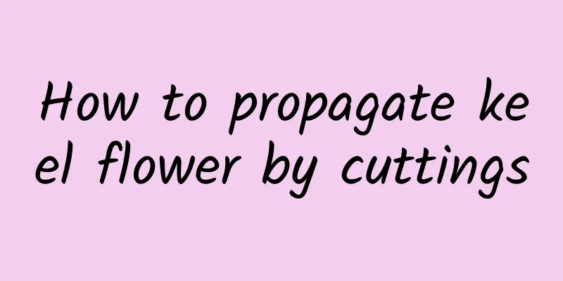 How to propagate keel flower by cuttings