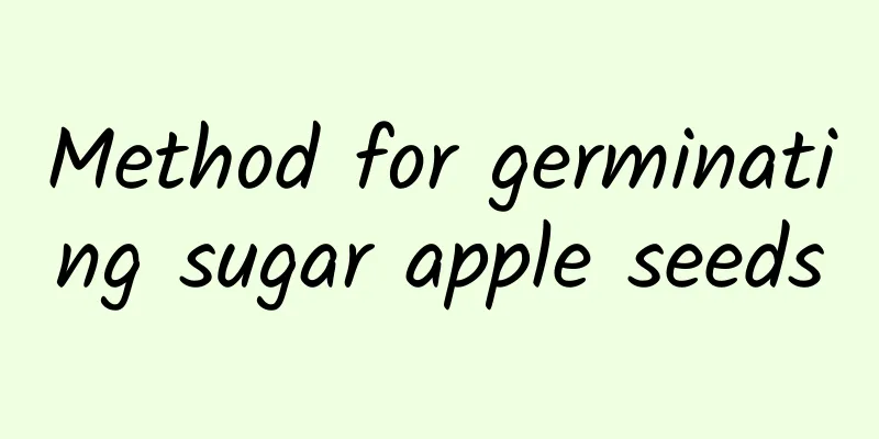 Method for germinating sugar apple seeds