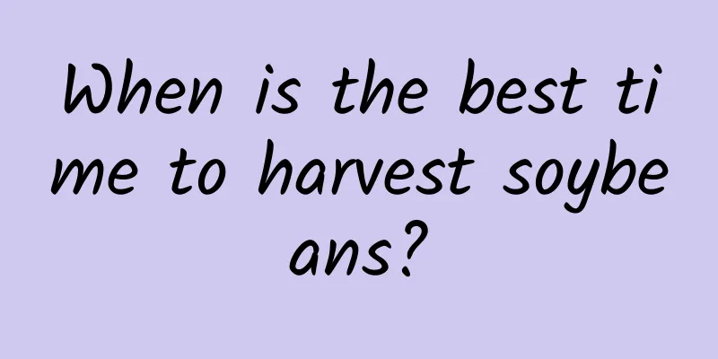 When is the best time to harvest soybeans?
