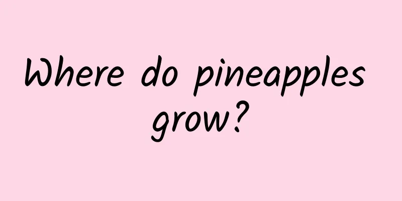 Where do pineapples grow?