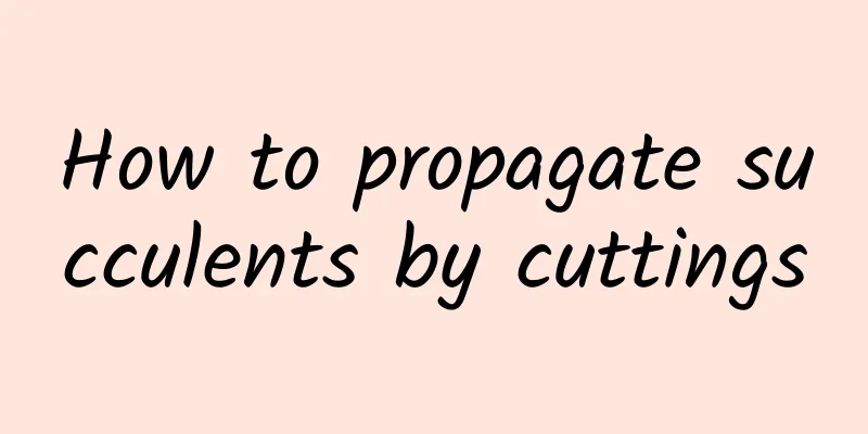 How to propagate succulents by cuttings