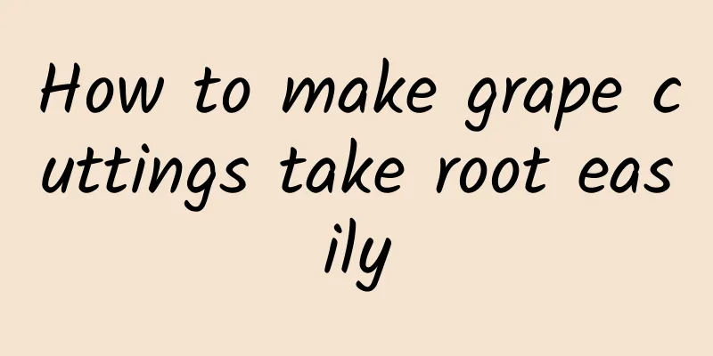 How to make grape cuttings take root easily