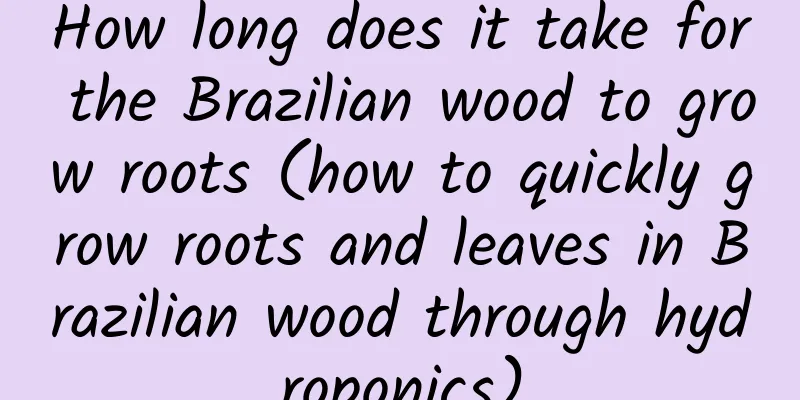 How long does it take for the Brazilian wood to grow roots (how to quickly grow roots and leaves in Brazilian wood through hydroponics)