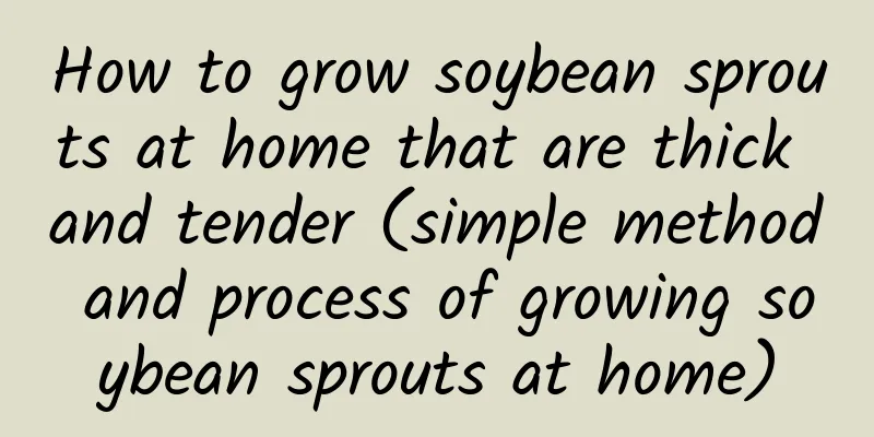 How to grow soybean sprouts at home that are thick and tender (simple method and process of growing soybean sprouts at home)