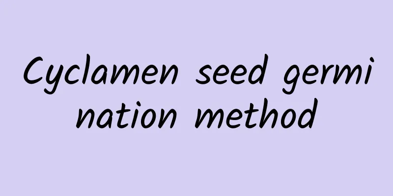 Cyclamen seed germination method