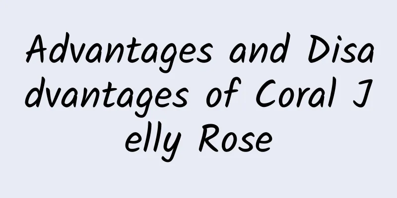 Advantages and Disadvantages of Coral Jelly Rose