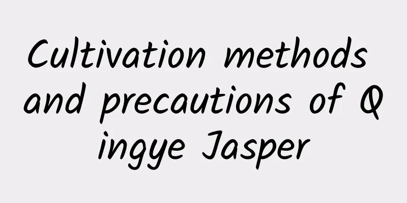 Cultivation methods and precautions of Qingye Jasper