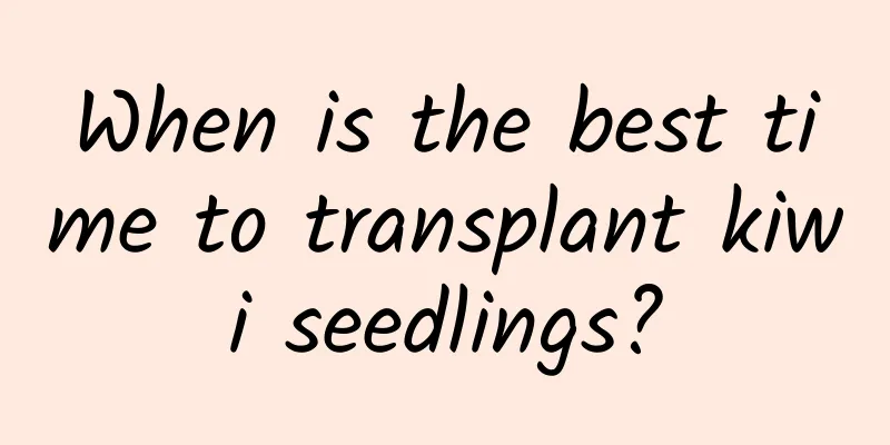 When is the best time to transplant kiwi seedlings?