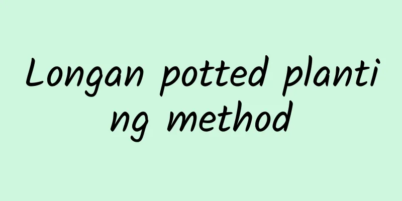 Longan potted planting method