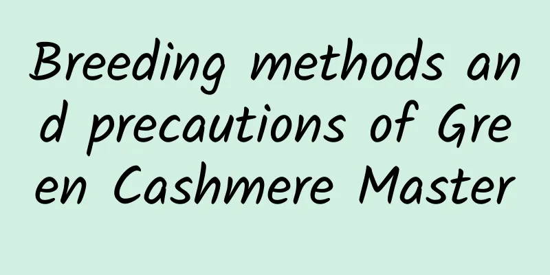 Breeding methods and precautions of Green Cashmere Master