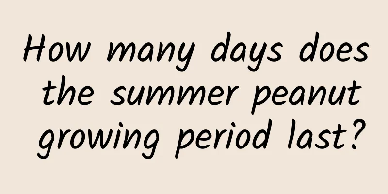 How many days does the summer peanut growing period last?