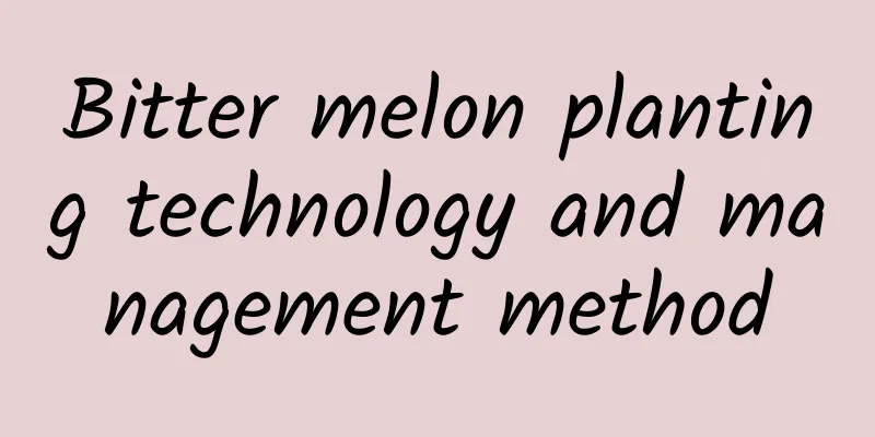 Bitter melon planting technology and management method