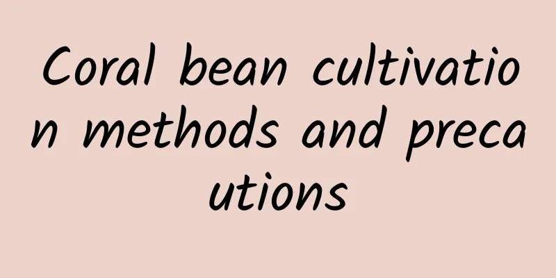 Coral bean cultivation methods and precautions