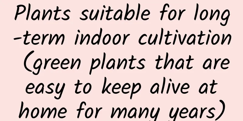 Plants suitable for long-term indoor cultivation (green plants that are easy to keep alive at home for many years)