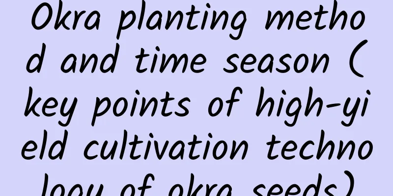 Okra planting method and time season (key points of high-yield cultivation technology of okra seeds)