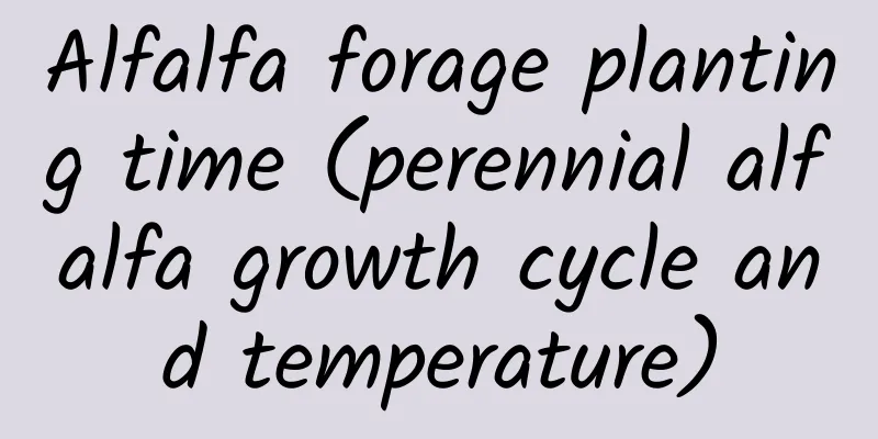 Alfalfa forage planting time (perennial alfalfa growth cycle and temperature)