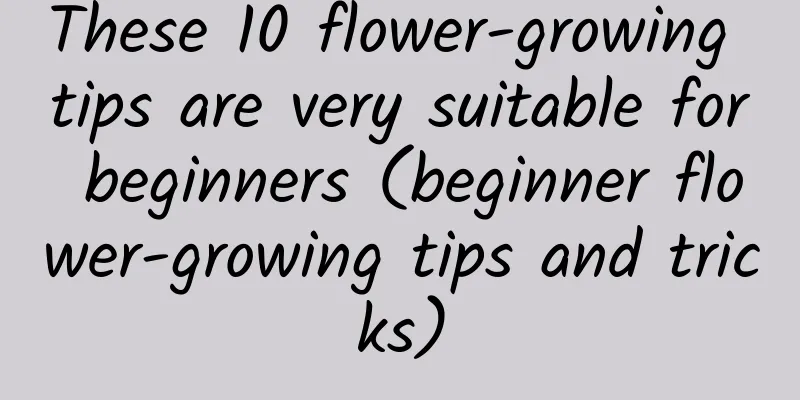 These 10 flower-growing tips are very suitable for beginners (beginner flower-growing tips and tricks)