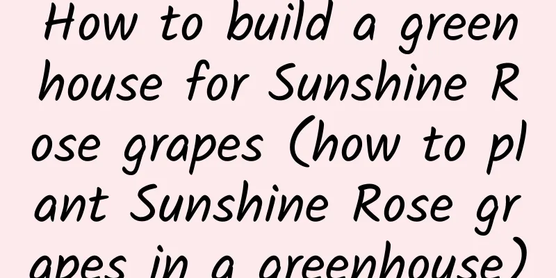 How to build a greenhouse for Sunshine Rose grapes (how to plant Sunshine Rose grapes in a greenhouse)
