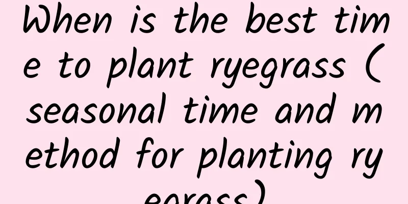 When is the best time to plant ryegrass (seasonal time and method for planting ryegrass)