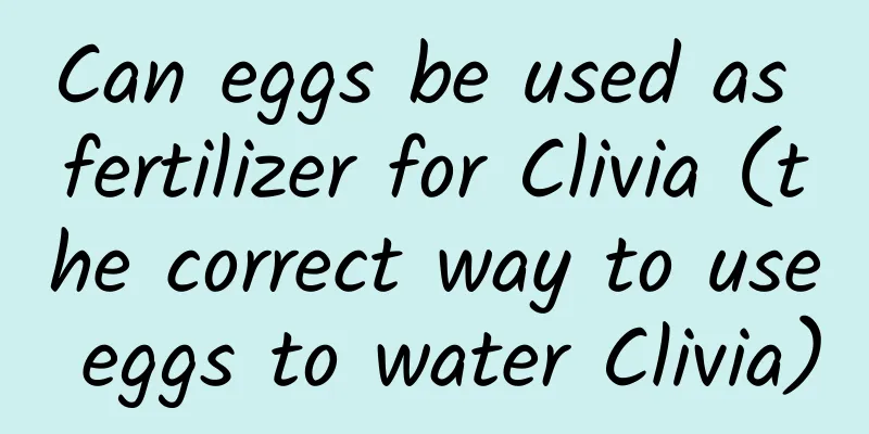 Can eggs be used as fertilizer for Clivia (the correct way to use eggs to water Clivia)