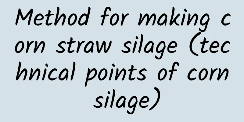 Method for making corn straw silage (technical points of corn silage)