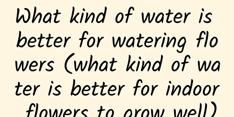What kind of water is better for watering flowers (what kind of water is better for indoor flowers to grow well)