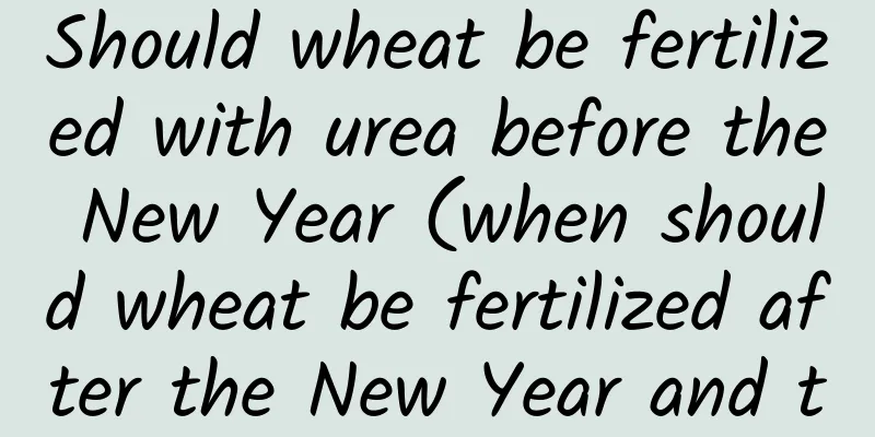 Should wheat be fertilized with urea before the New Year (when should wheat be fertilized after the New Year and the beginning of spring)