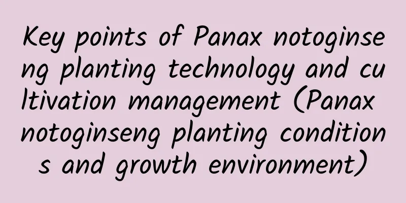 Key points of Panax notoginseng planting technology and cultivation management (Panax notoginseng planting conditions and growth environment)