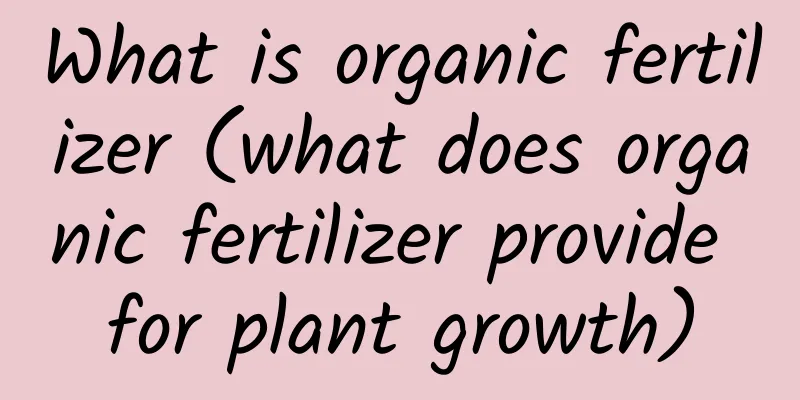 What is organic fertilizer (what does organic fertilizer provide for plant growth)